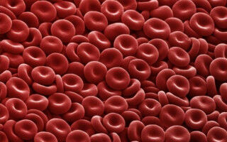 US regulator approves first ever gene therapy for people with haemophilia A
