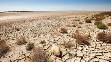 Utilizing AI for drought prediction