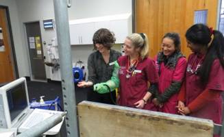 Veterinary leader inspires next generation of UQ graduates