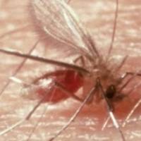 Visitors 'skin' an exhibit to explore disfiguring disease