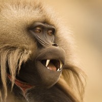 Walk on the wild side at Zoology Museum