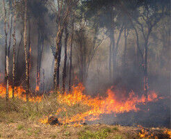 Water cycle instability drove global water-related disasters in 2025