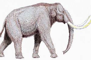 West Runton Elephant helps unlock the past