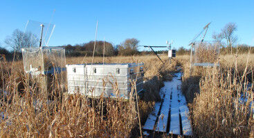 Wetlands do not need to be flooded to provide the greatest climate benefit