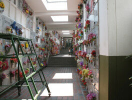 What epidemics can teach us about burial places