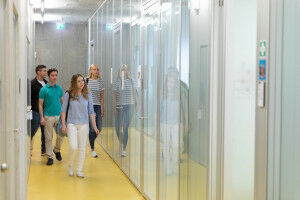 What should I study? What would suit me best?