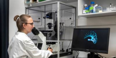 When sperm fall by the wayside