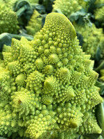 Where does the shape of the Romanesco cauliflower come from?