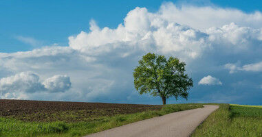 Who lives in rural Canada and who's most likely to move there?