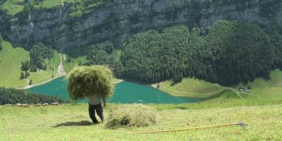 Who's evaluating Swiss landscapes?