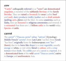 Word association: Princeton study matches brain scans with complex thought