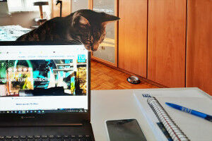 Working from home. What needs to be considered in the home office