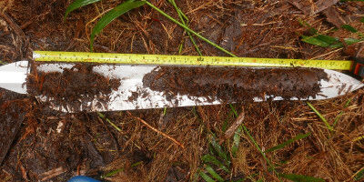 World's largest tropical peatlands revealed to be more than 40,000 years old