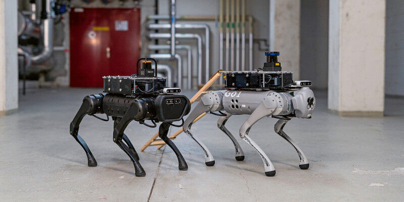 Not just for play: robotic dogs may one day assist visually impaired people. Res