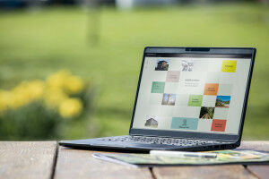 Website shows the benefits of the forest with many examples